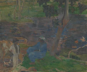 Aan de oevers van de rivier in Martinique